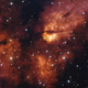 An older image of star cluster RCW seen through optical wavelengths.